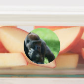 Gorilla Lope (Rond design) Labels (Aangebracht)