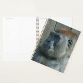 Gorilla Lope & Shufai Planner (Display)