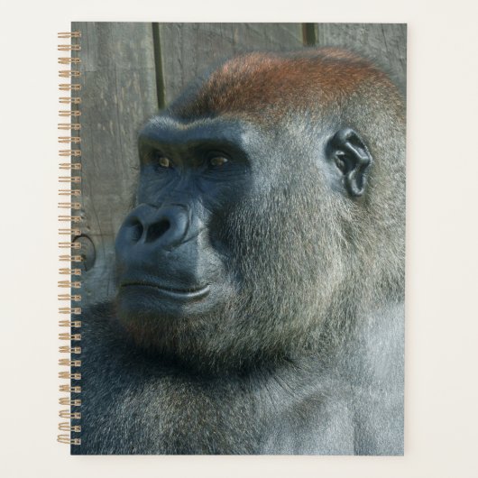 Gorilla Lope & Shufai Planner (Voorkant)