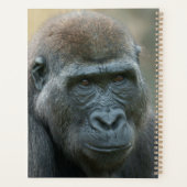 Gorilla Lope & Shufai Planner (Achterkant)