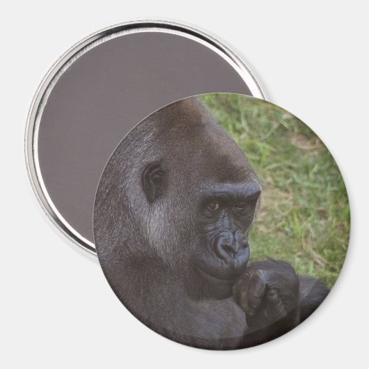 Gorilla Magneet (Voorkant / Achterkant)