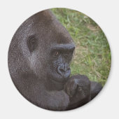 Gorilla Magneet (Voorkant)