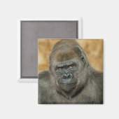 Gorilla Magneet (Voorkant / Achterkant)