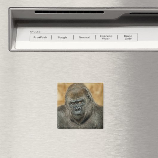 Gorilla Magneet (Insitu (Vaatwasser))