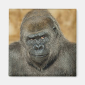 Gorilla Magneet (Voorkant)