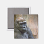 GORILLA, magneet (Voorkant / Achterkant)