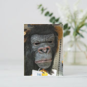 Gorilla Mask Briefkaart (Staand voorkant)