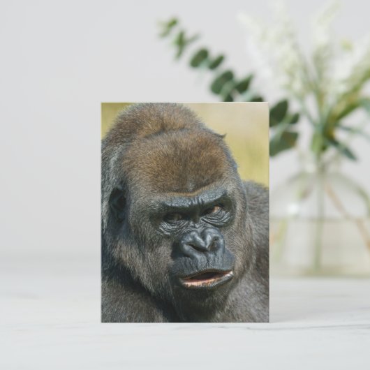 Gorilla Moeder Briefkaart (Staand voorkant)
