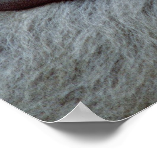 Gorilla Moeder en Baby Poster (Hoek)