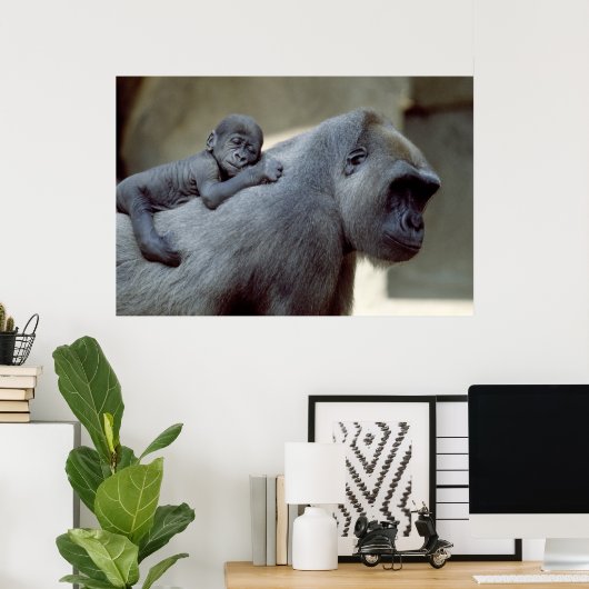 Gorilla Moeder en Baby Poster (Thuiskantoor)
