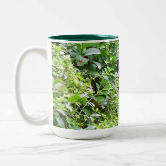 Gorilla Mok — Kies je stijl! (Links)