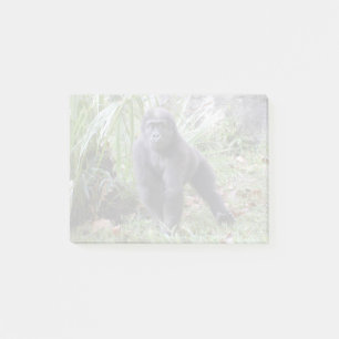 Gorilla Moke in de nationale dierentuin Post-it® Notes