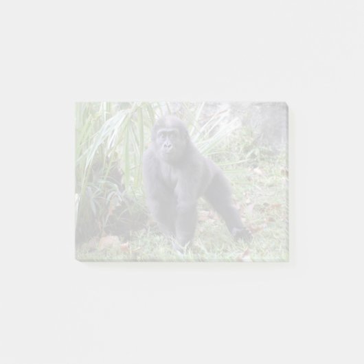 Gorilla Moke in de nationale dierentuin Post-it® Notes (Voorkant)