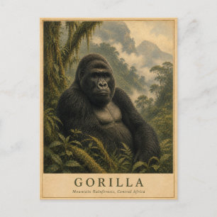 Gorilla Mountain Regenwoud VINTAGE Briefkaart