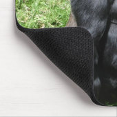 GORILLA MUISMAT (Hoek)