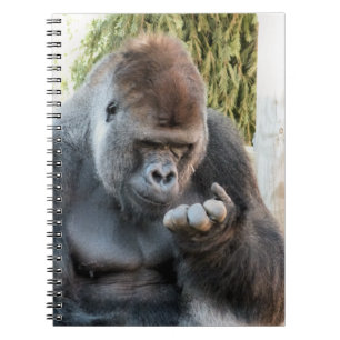 GORILLA NOTITIEBOEK
