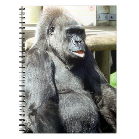 GORILLA NOTITIEBOEK (Voorkant)