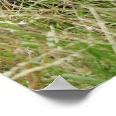 Gorilla onderweg door het hoge gras poster (Hoek)