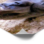 Gorilla, ontspannen, relativeren, release_ poster (Hoek)