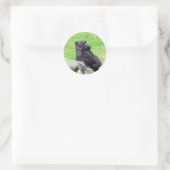 Gorilla Ontspannende Sticker (Tas)