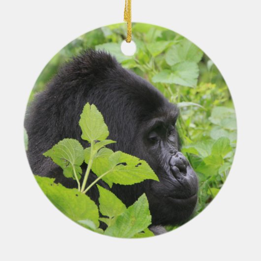 Gorilla Ornament (Achterkant)