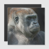 Gorilla Ozala (Voorkant / Achterkant)