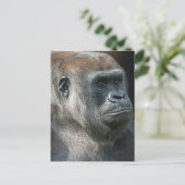 Gorilla Ozala Briefkaart (Staand voorkant)