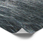 Gorilla Ozala Poster (Hoek)