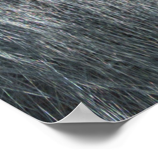 Gorilla Ozala Poster (Hoek)