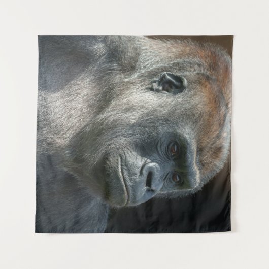 Gorilla Ozala Wandkleed (Voorkant (horizontaal))