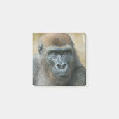 Gorilla Paper Post-it® Notes (Voorkant)