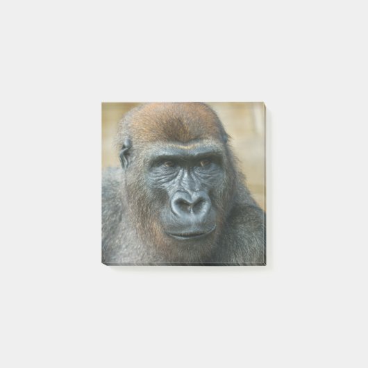 Gorilla Paper Post-it® Notes (Voorkant)