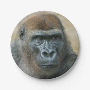 Gorilla Papieren Bordje