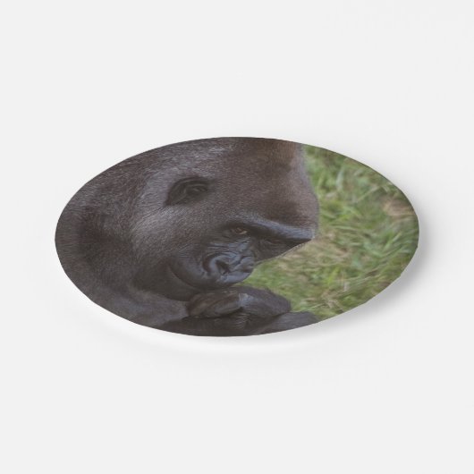 Gorilla Papieren Bordje (Gekanteld)