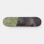Gorilla Persoonlijk Skateboard (Horizontaal)