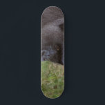 Gorilla Persoonlijk Skateboard<br><div class="desc">Gorilla</div>