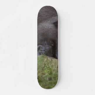 Gorilla Persoonlijk Skateboard