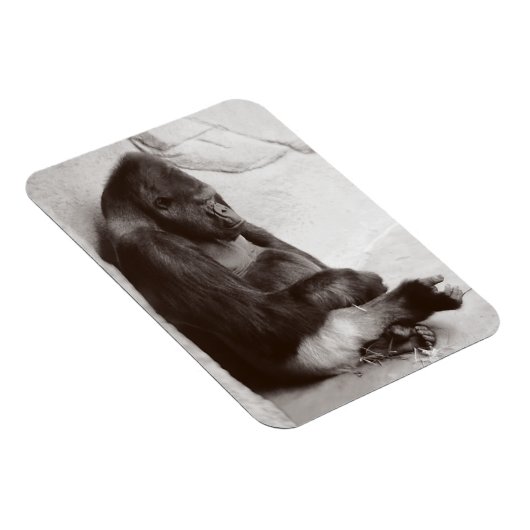 Gorilla Photography Sleeping Magneet (Rechterzijde)