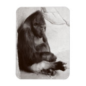 Gorilla Photography Sleeping Magneet (Verticaal)