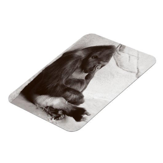 Gorilla Photography Sleeping Magneet (Linkerzijde)