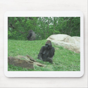 Gorilla pic muismat