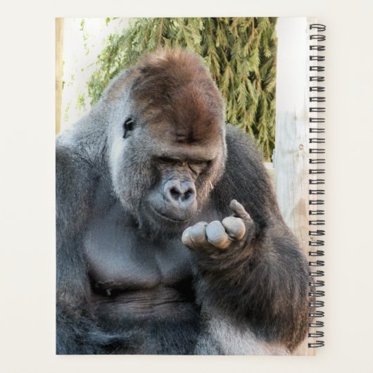 GORILLA PLANNER (Achterkant)