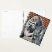 GORILLA PLANNER (Display)