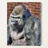 GORILLA PLANNER (Achterkant)