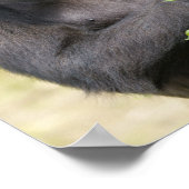 Gorilla-portret Poster (Hoek)