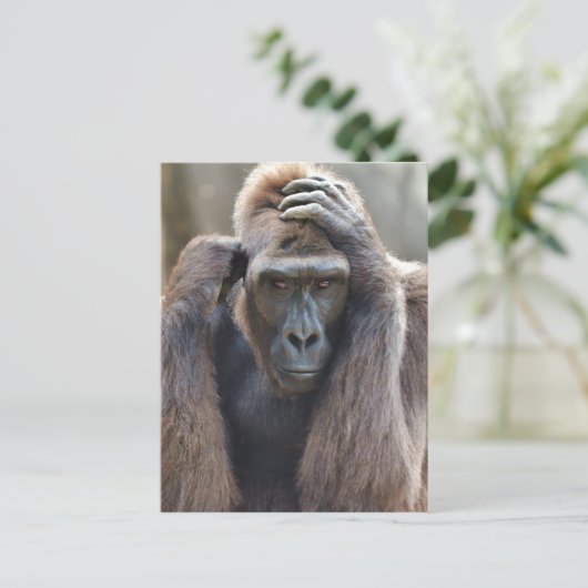 Gorilla Pose Briefkaart (Staand voorkant)