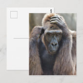 Gorilla Pose Briefkaart (Voorkant / Achterkant)