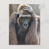 Gorilla Pose Briefkaart (Voorkant)