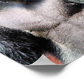 GORILLA POSTER (Hoek)