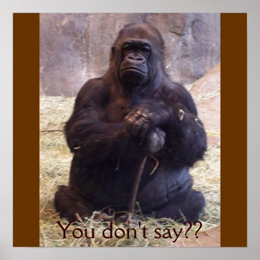 Gorilla Poster (Voorkant)